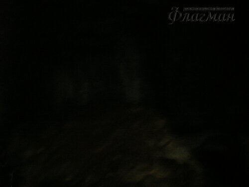 DSCN3770